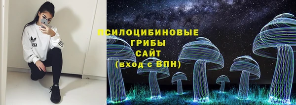 ALPHA-PVP Медногорск
