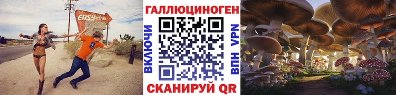 Галлюциногенные грибы Psilocybe  Яхрома 